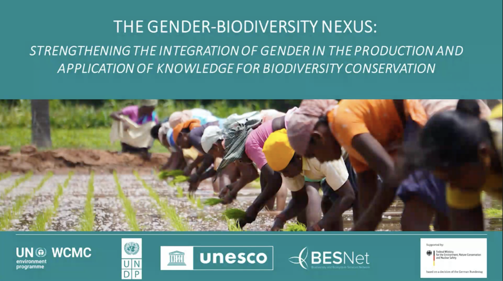 The Gender Biodiversity Nexus Strengthening The Integration Of Gender