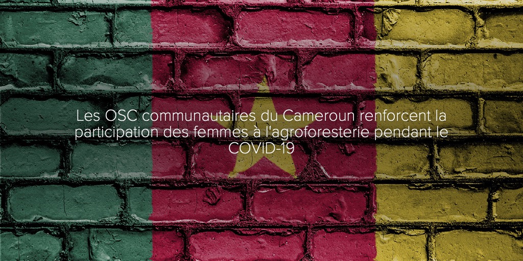 Les OSC communautaires du Cameroun renforcent la participation des femmes à l'agroforesterie pendant le COVID-19
