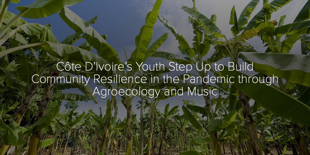 Côte D’Ivoire’s Youth Step Up to Build Community Resilience in the Pandemic through Agroecology and Music