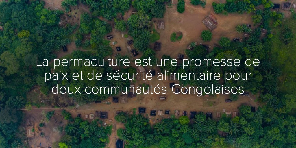 La permaculture est une promesse de paix et de sécurité alimentaire pour deux communautés Congolaises