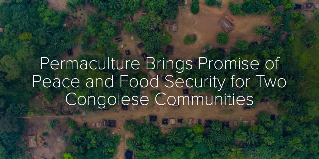 Permaculture Brings Promise of Peace and Food Security for Two Congolese Communities