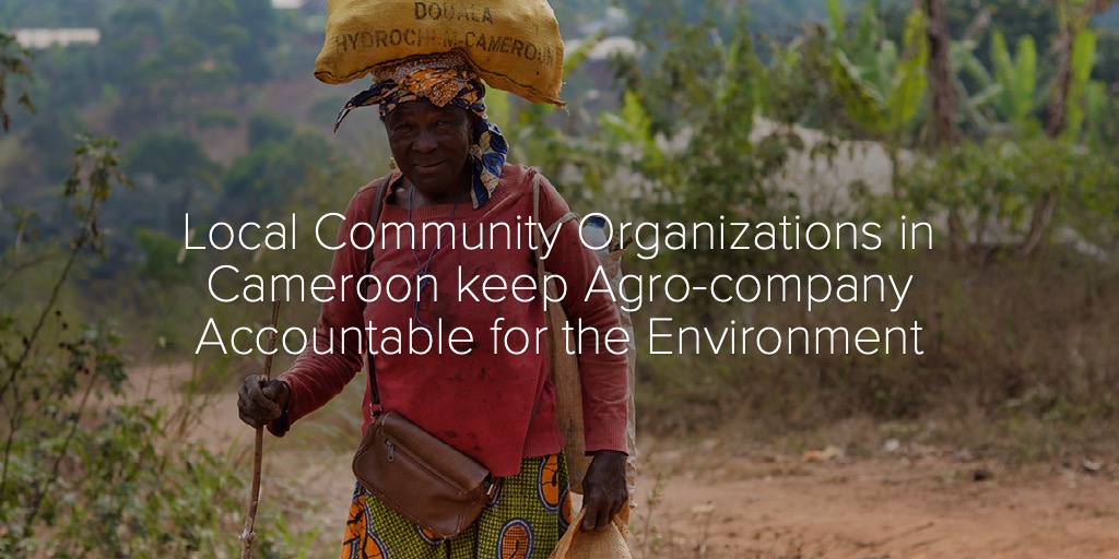 Local Community Organizations in Cameroon keep Agro-company Accountable for the Environment