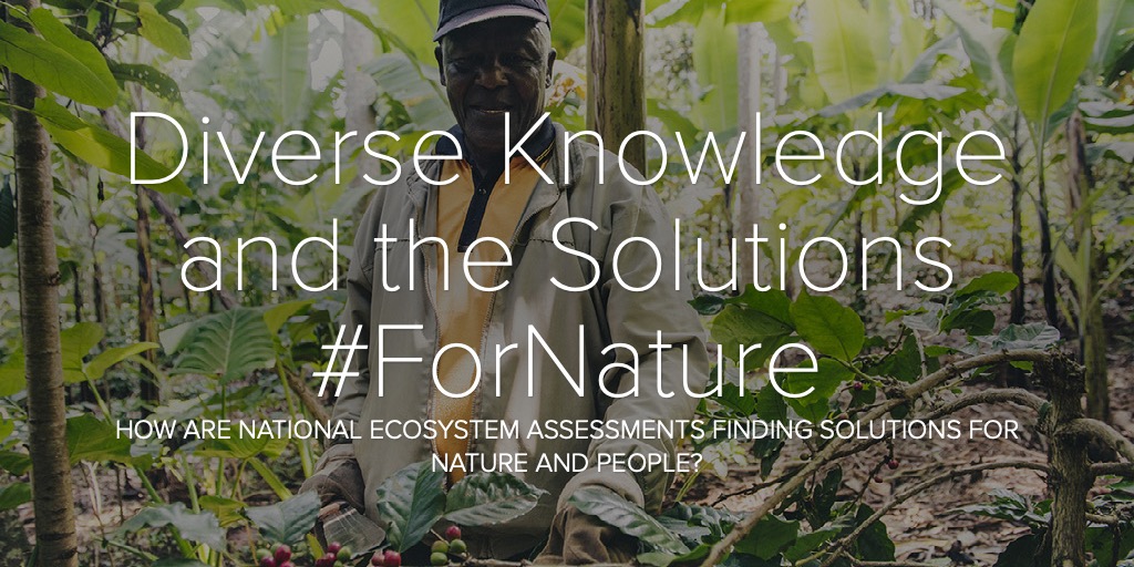 Diverse Knowledge and the Solutions #ForNature