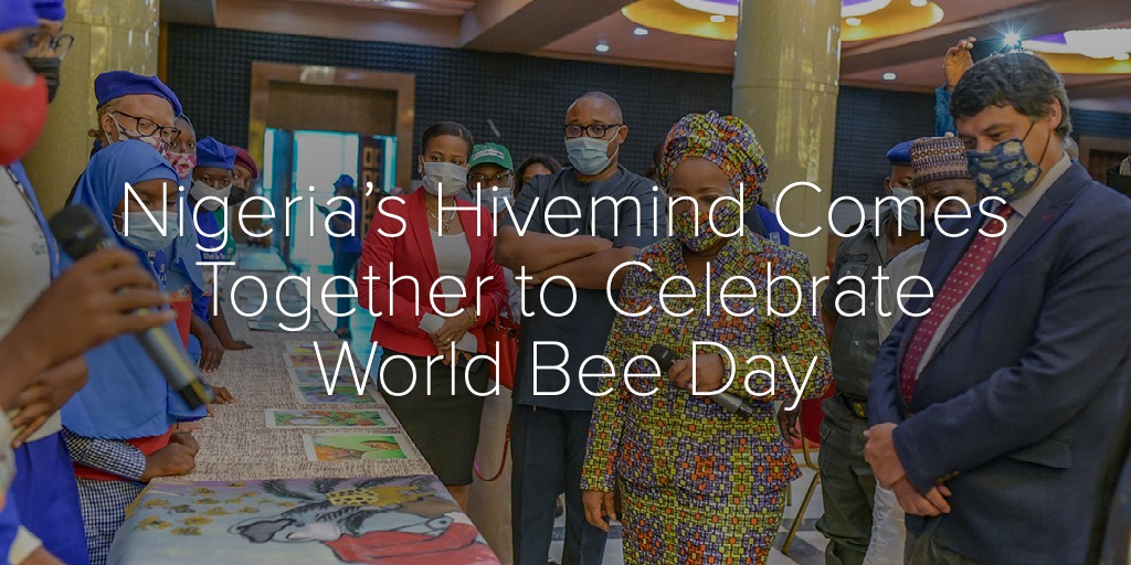 Nigeria’s Hivemind Comes Together to Celebrate World Bee Day