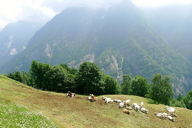 Lower_Italian_alps