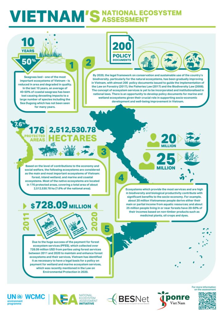 Viet Nam NEA infographic