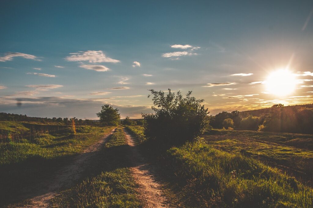 A picturesque rural landscape with a dirt road winding through green fields, illuminated by the setting sun.