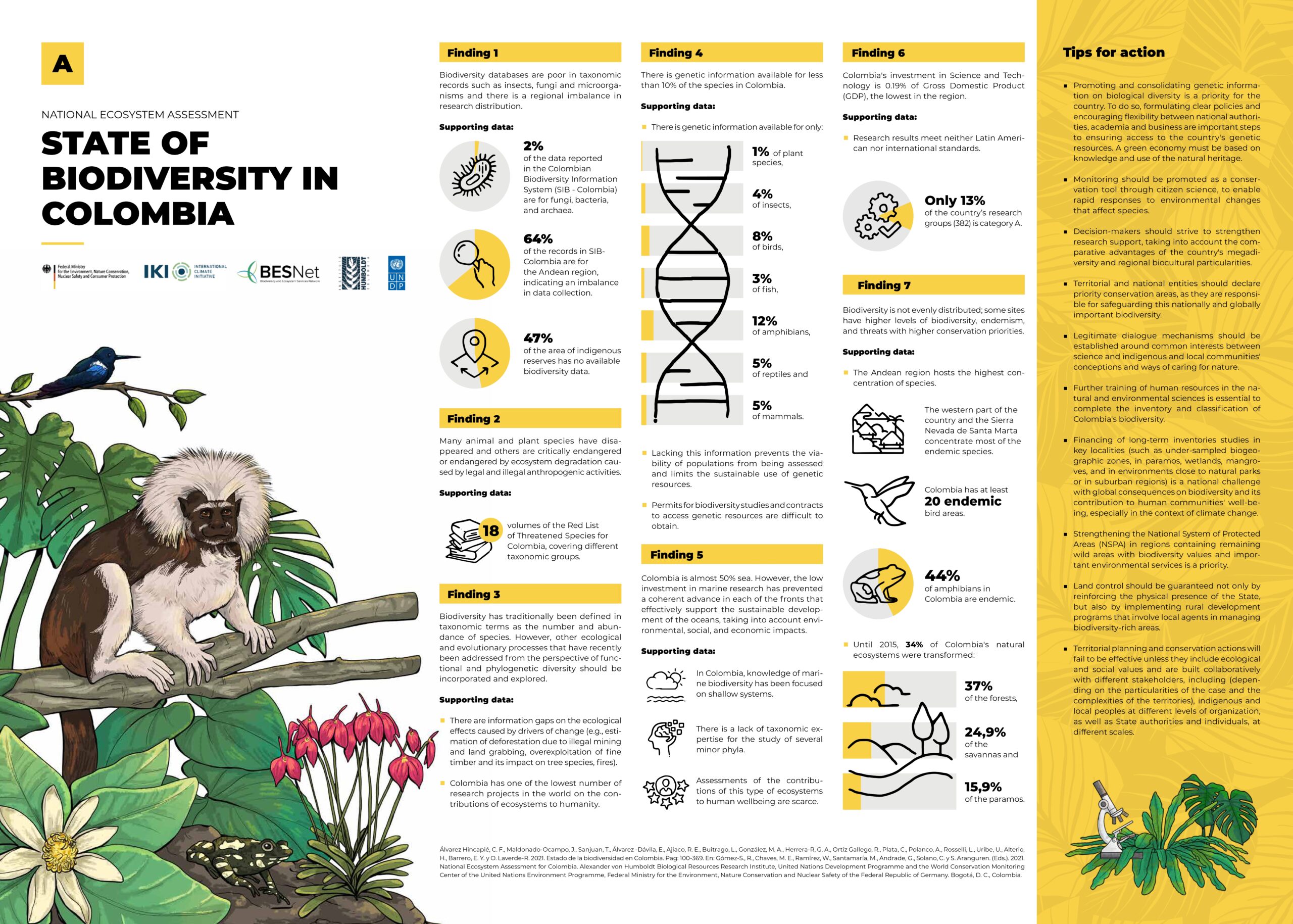 Infographics on Colombia's state of biodiversity