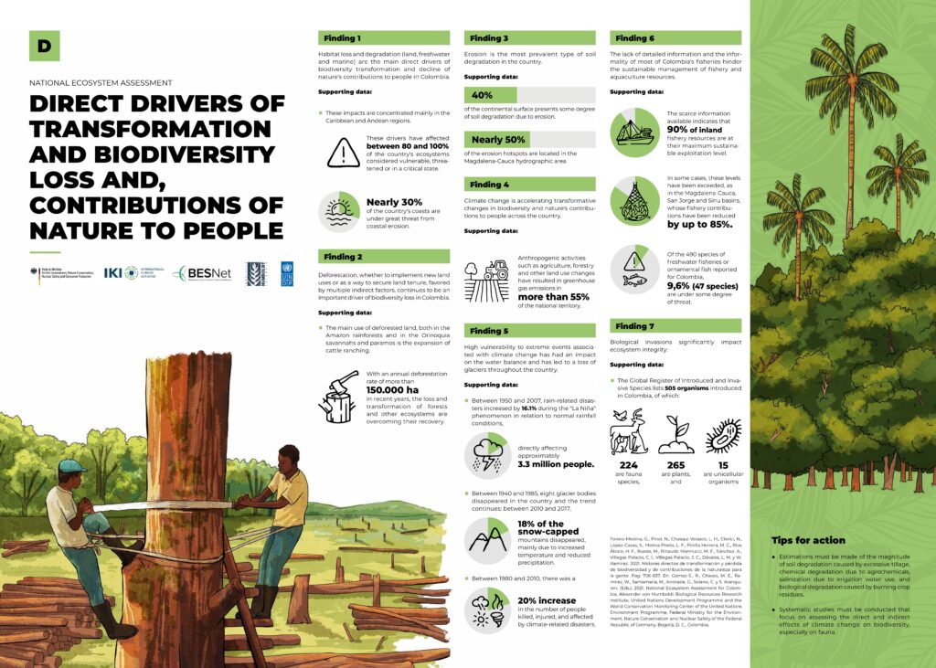 Infographics on Colombia's state of biodiversity