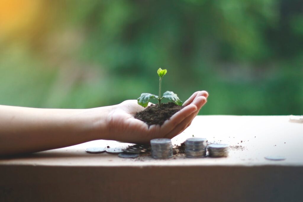 green plant on a person's hand