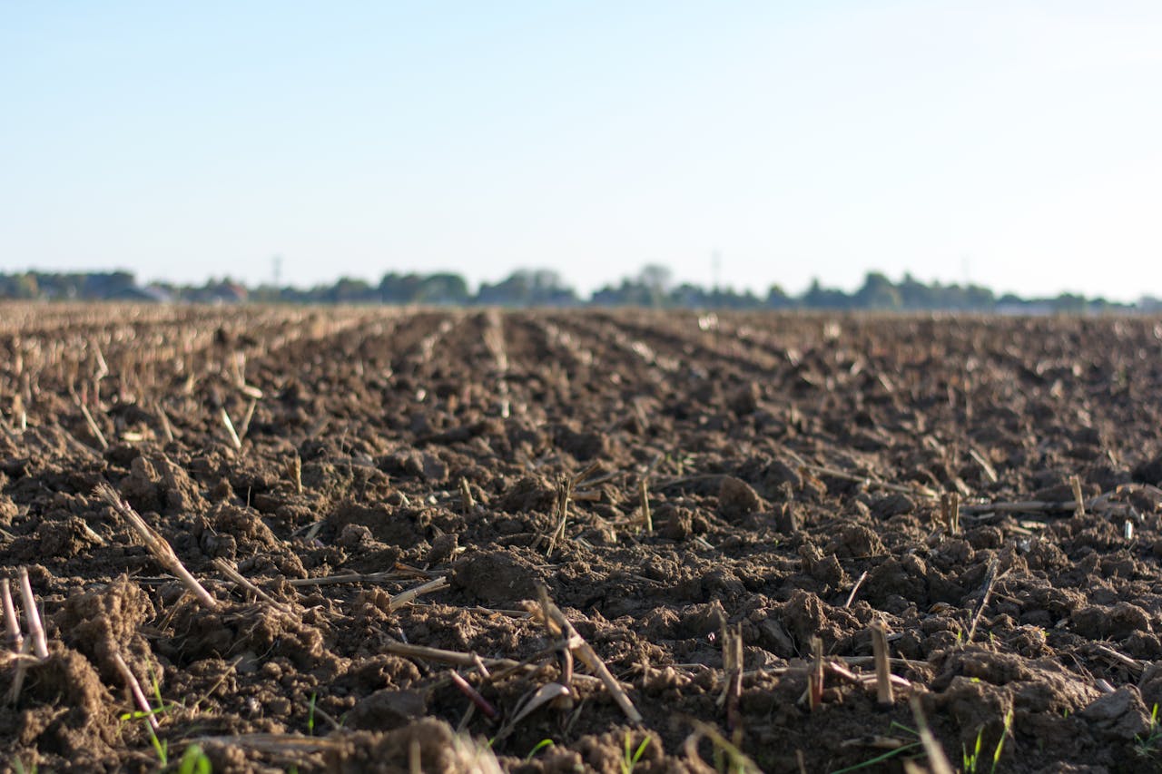 farm soil