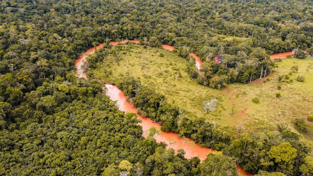 Aerial view of a winding red-colored river cutting through dense green forest and grassy areas