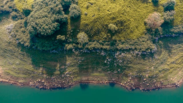 Aerial view of a green, tree-covered shoreline meeting a calm blue body of water.