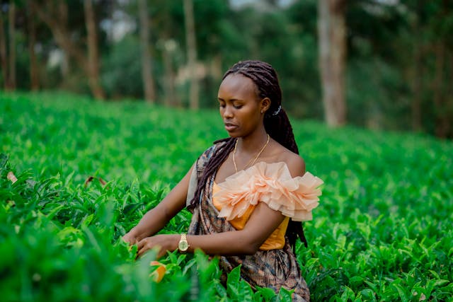 A woman standing in a lush green field, gently tending to the plants, dressed in a traditional outfit with a calm and focused expression.