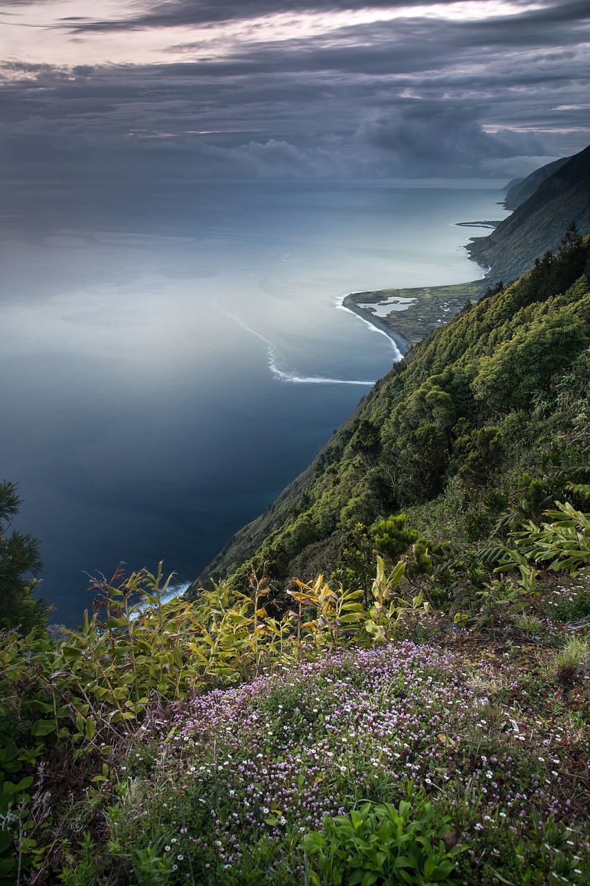 Ocean and Mountain View