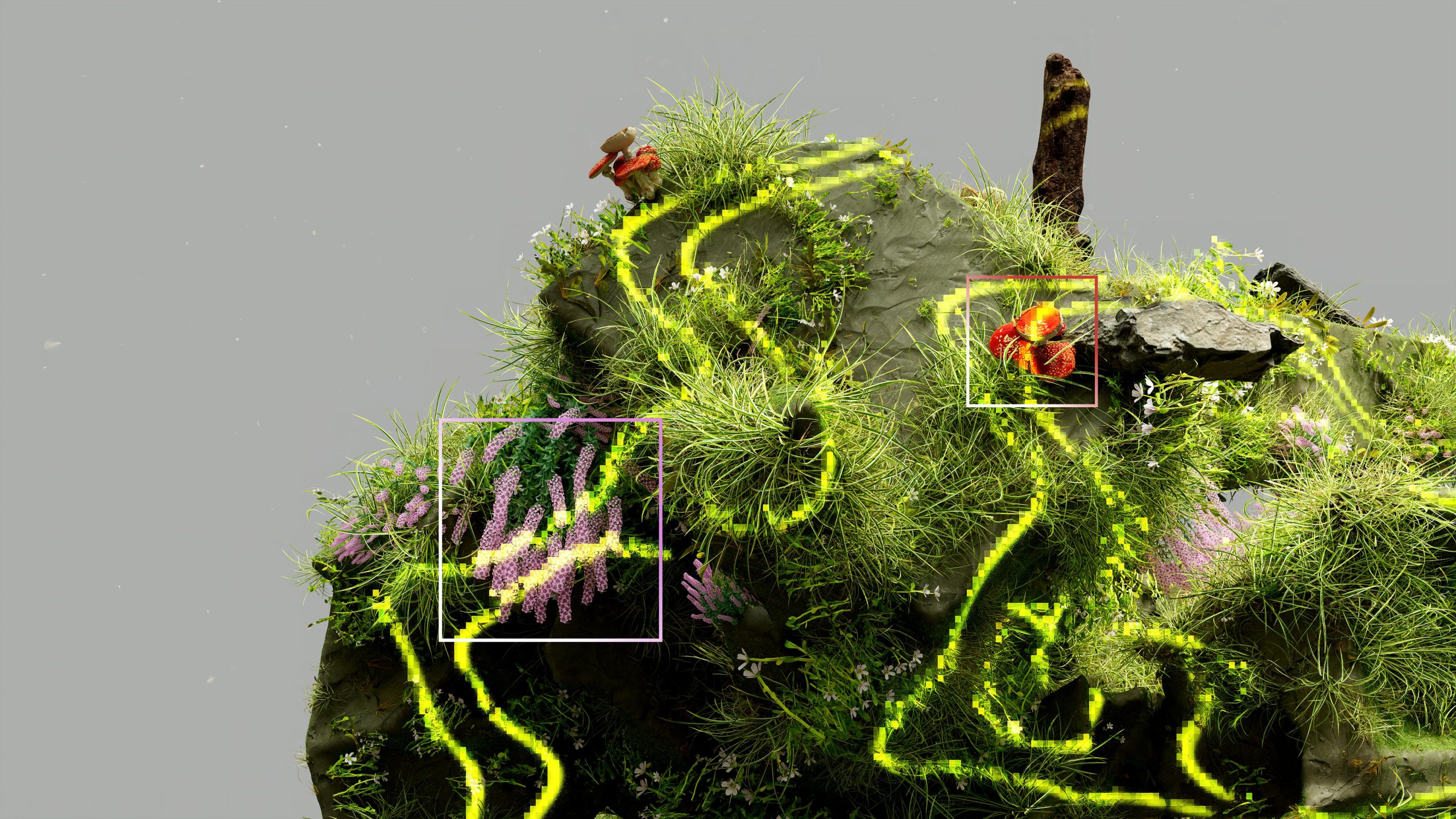Livelyhood detected with ai